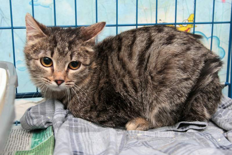 2017-03-05 11.00.29 1.jpg