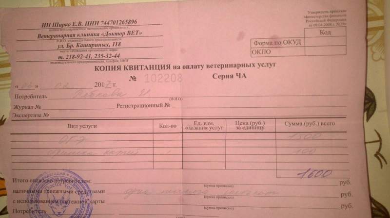 стерилизация кошки (1).jpg
