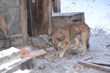 DSC_2755.JPG