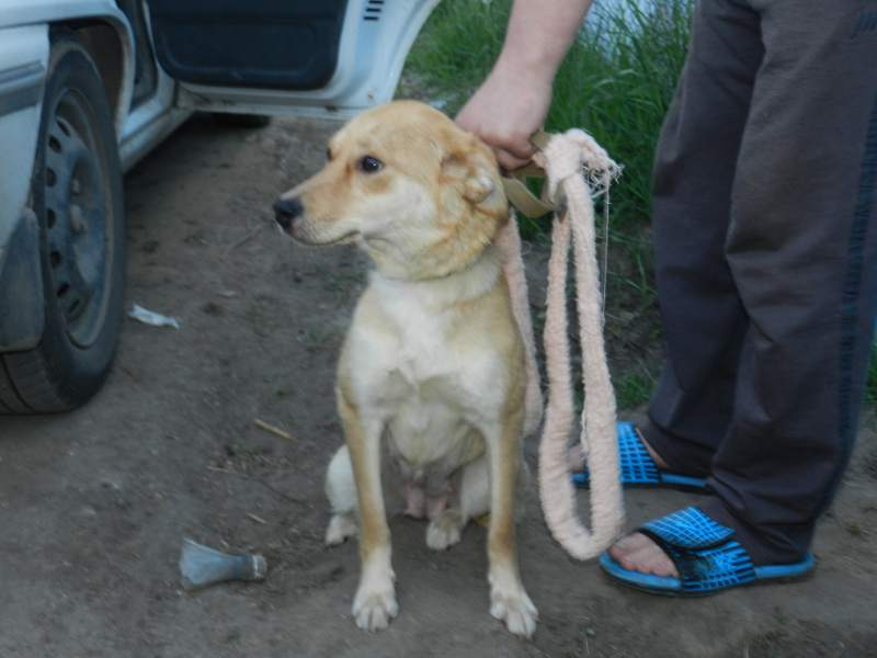 DSCN3990.JPG