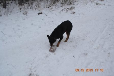 DSC_2752.JPG
