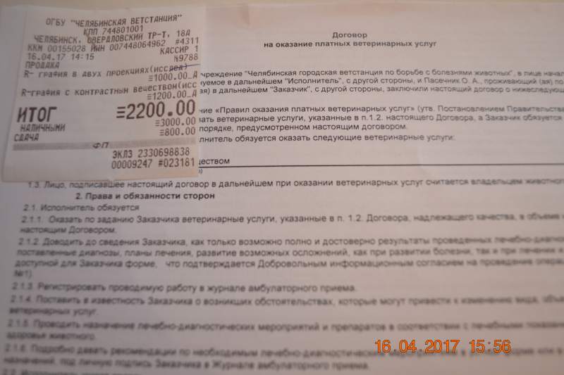 DSC_1117.JPG