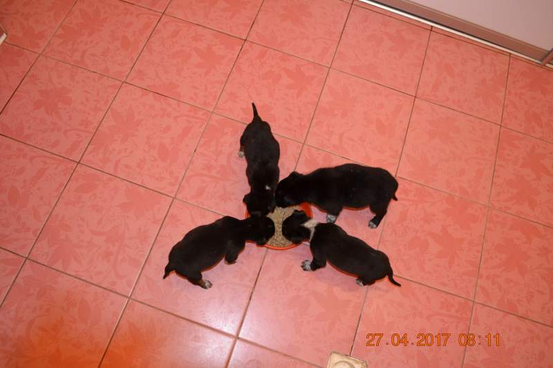 DSC_1247.JPG