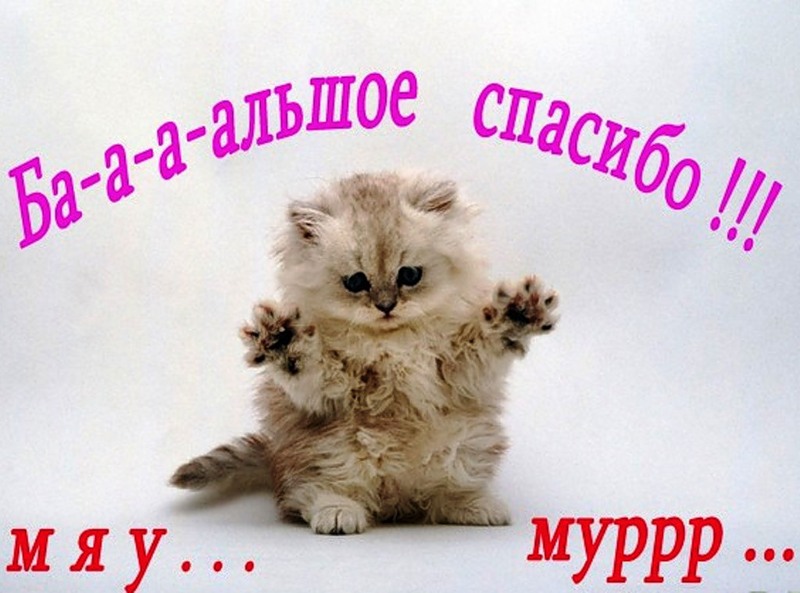 спасибо!.jpg