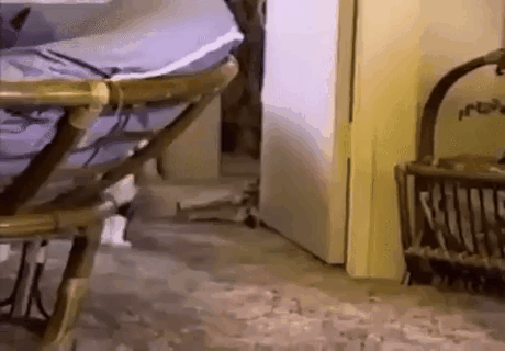 dzen_yapfiles.ru.gif
