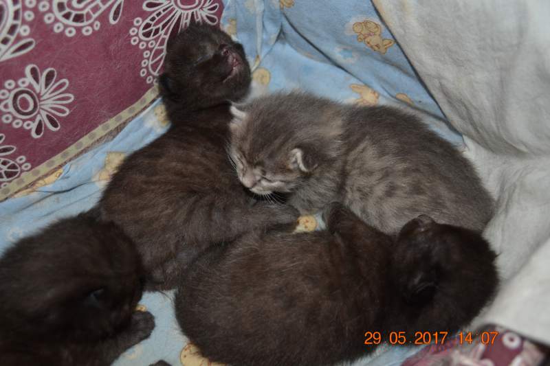 DSC_1364.JPG