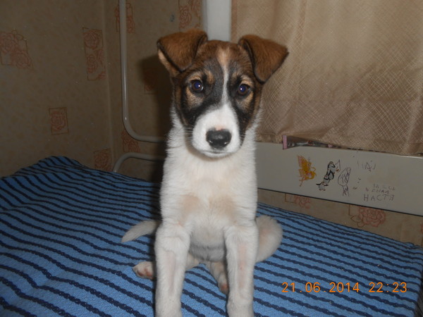 DSCN3466.JPG