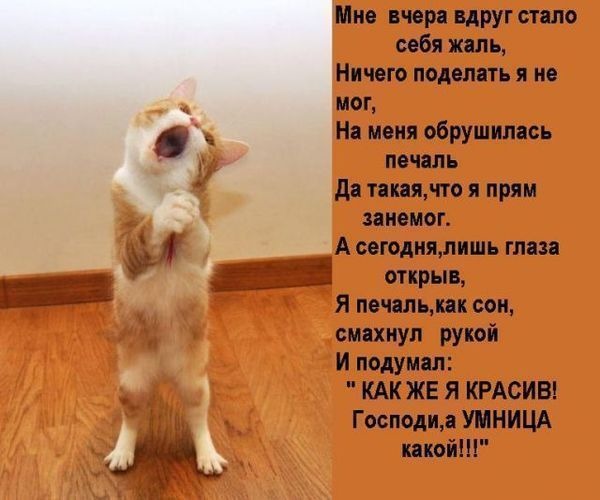 image-5.JPG