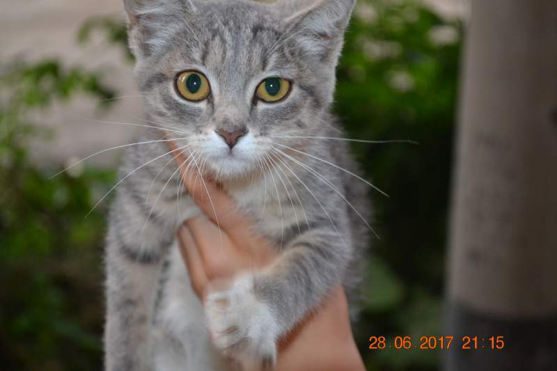DSC_1482.JPG