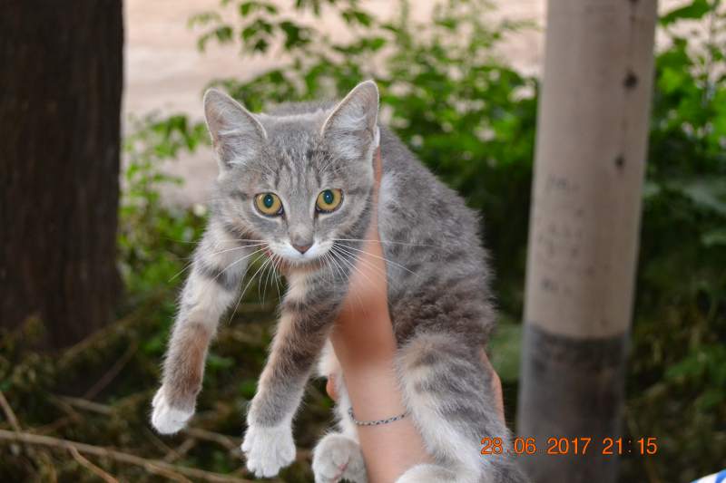 DSC_1484.JPG
