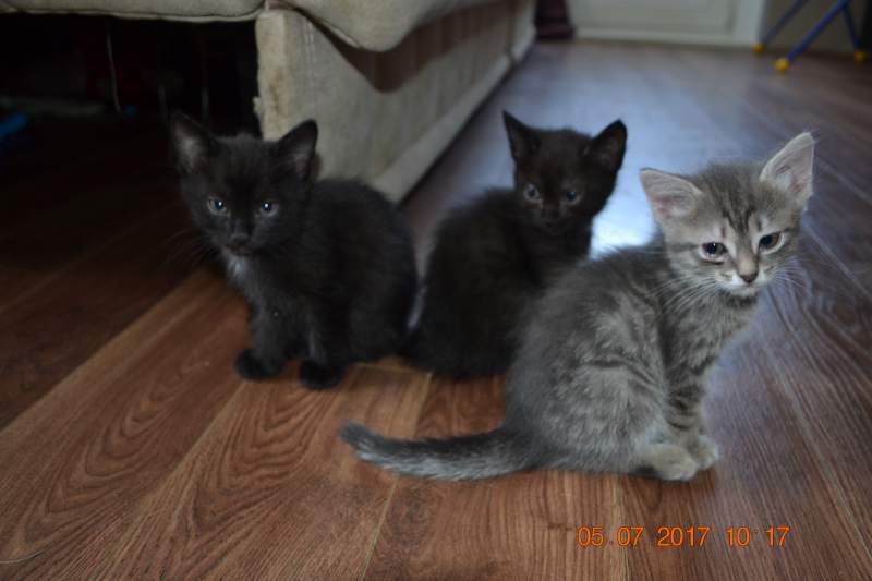 DSC_1537.JPG