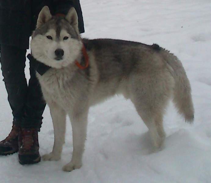Копия DSC_0110.jpg