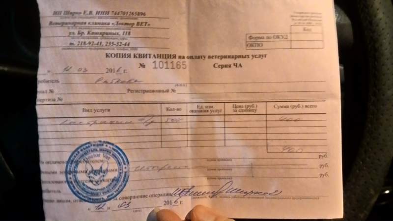 кастр ко.jpg
