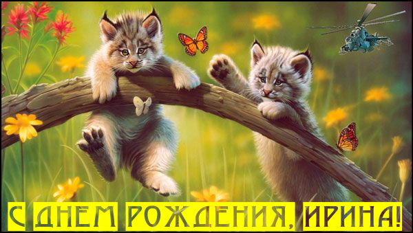 Растровый.png