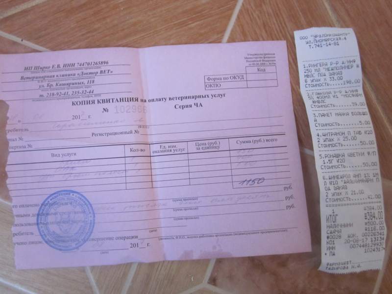 мулечка4.jpg