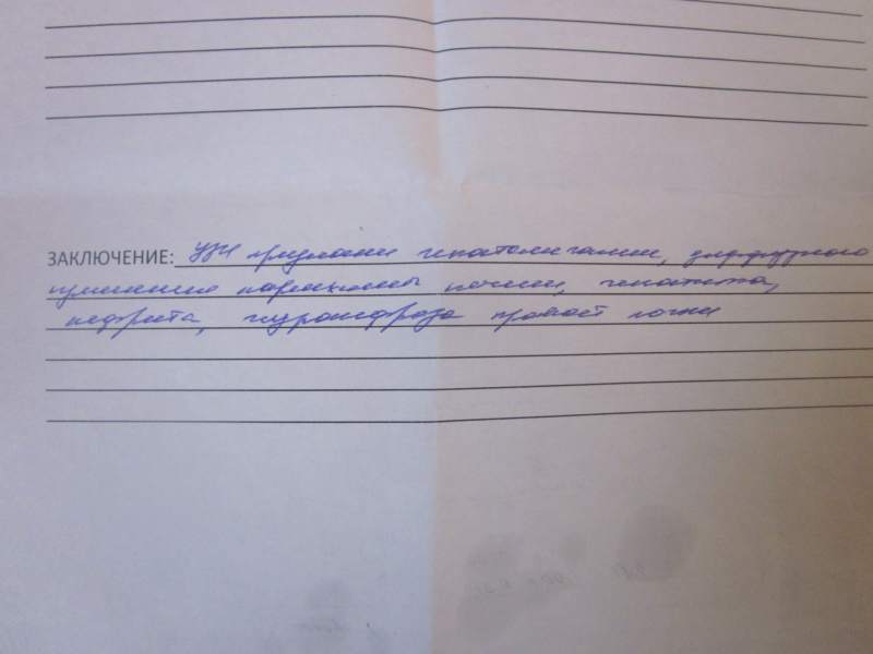 мулечка3.jpg