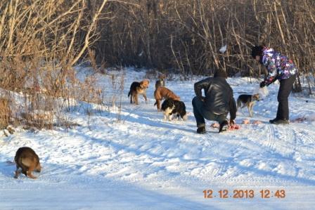 DSC_2778.JPG