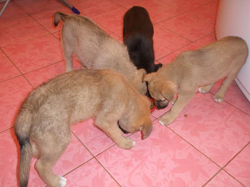 2014-06-29 03-32-48.JPG