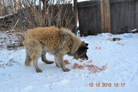 DSC_2787.JPG