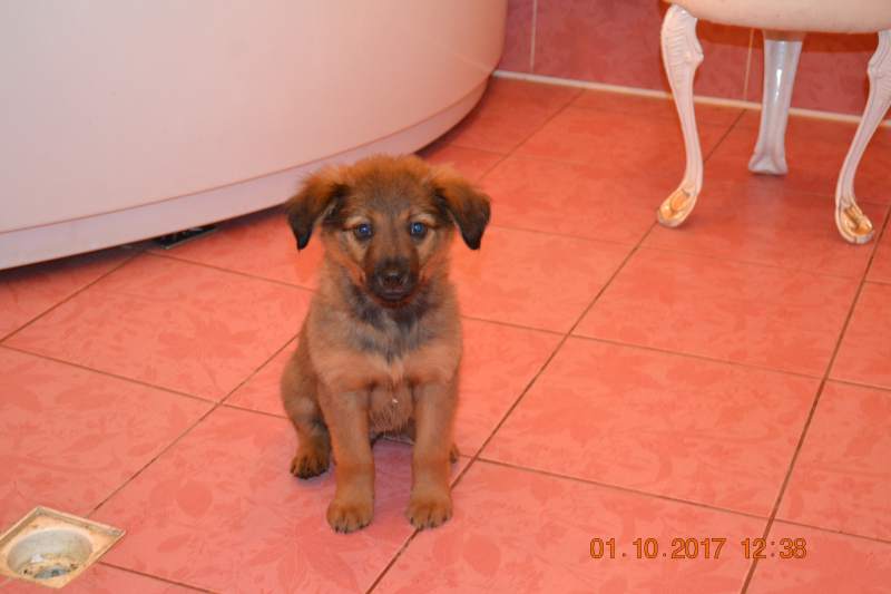 DSC_1801.JPG