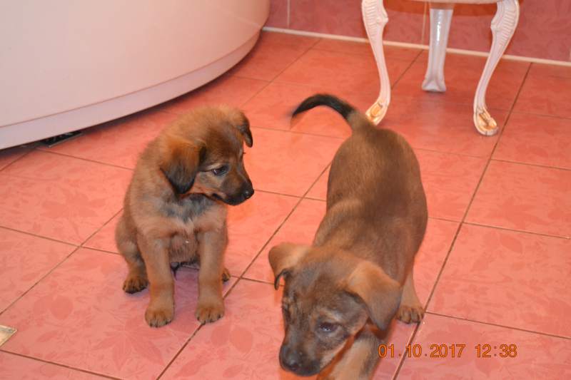 DSC_1800.JPG