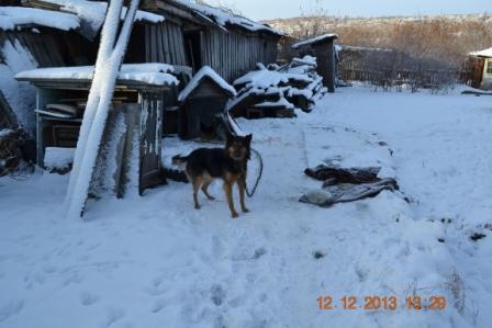 DSC_2788.JPG