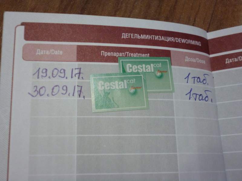 nXHIcEfijXI.jpg