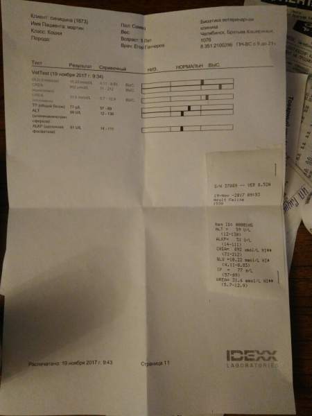 IMG_20171119_104347.jpg
