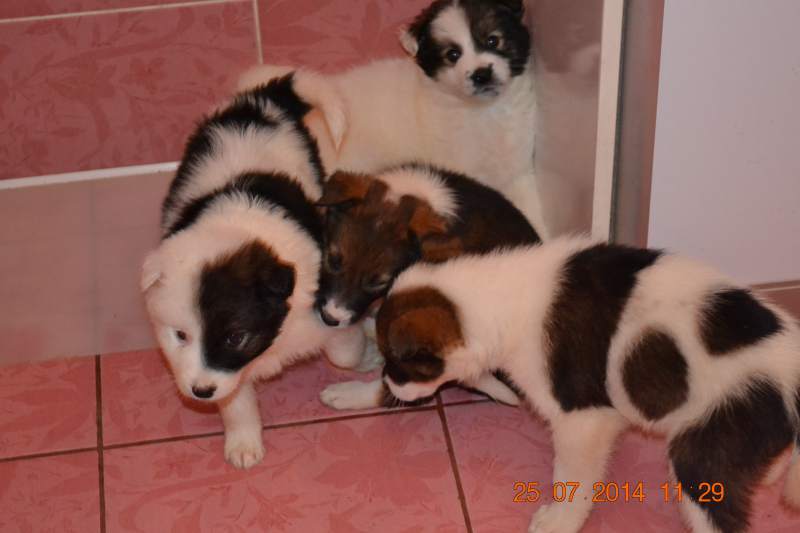 2014-07-25 11-29-44.JPG