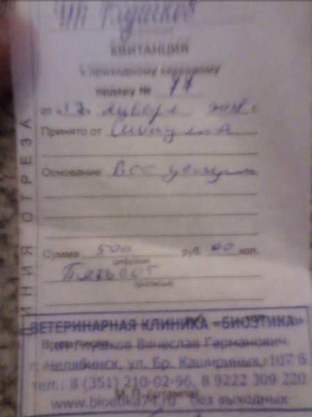 9AozjbXERKI.jpg