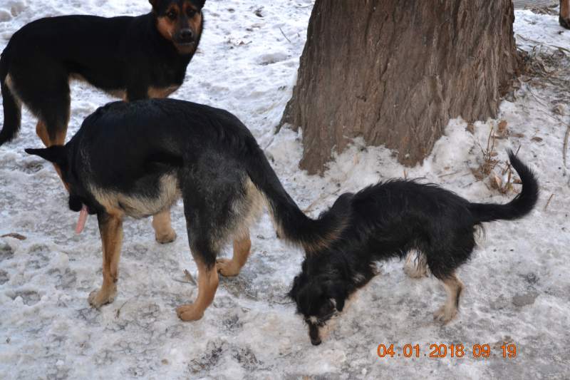 DSC_2621.JPG